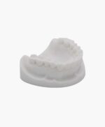 dental model-1