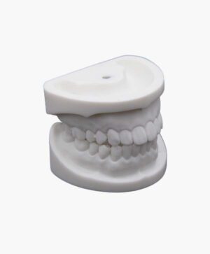 dental model-3