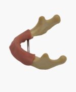 mandibular bone-7