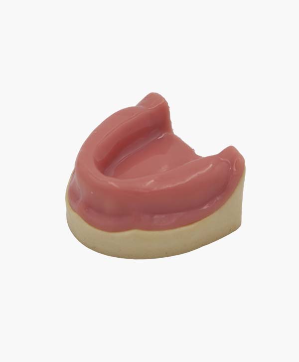 Toothless Maxilla Model with Gingiva – Feiman