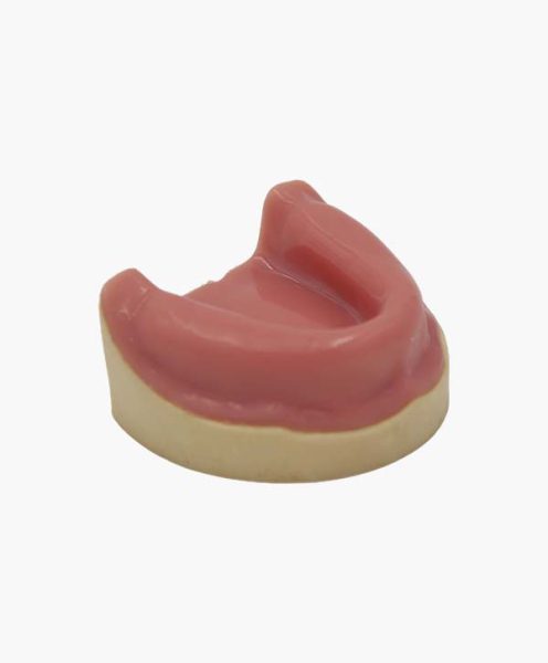 Toothless Maxilla Model with Gingiva – Feiman