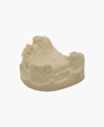 upper jaw-29