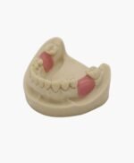 upper jaw-33