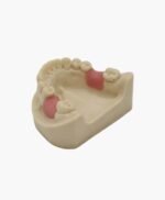 upper jaw-35