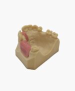 upper jaw-7